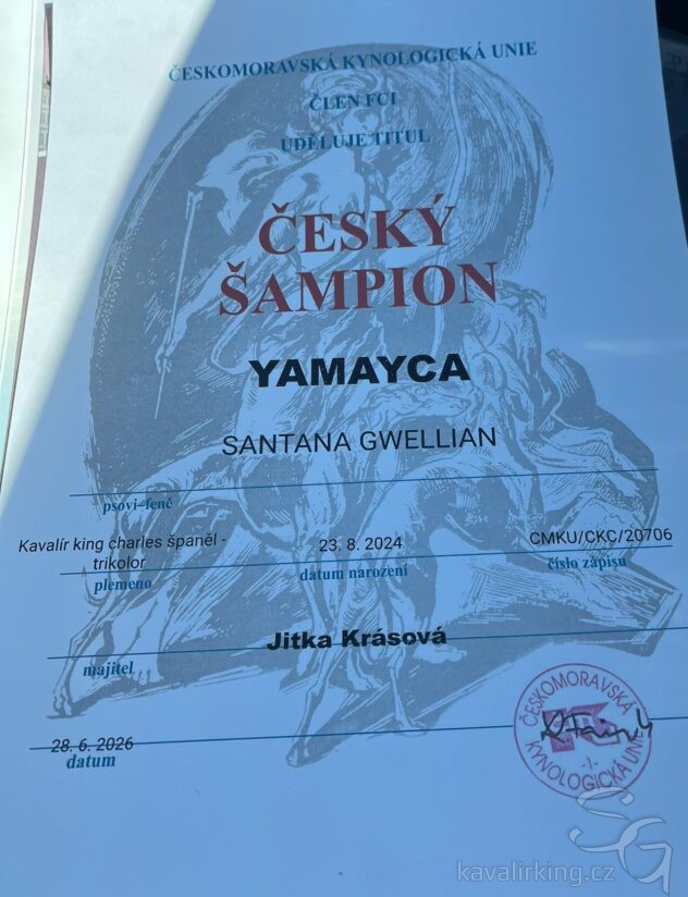 Yamayca-CH